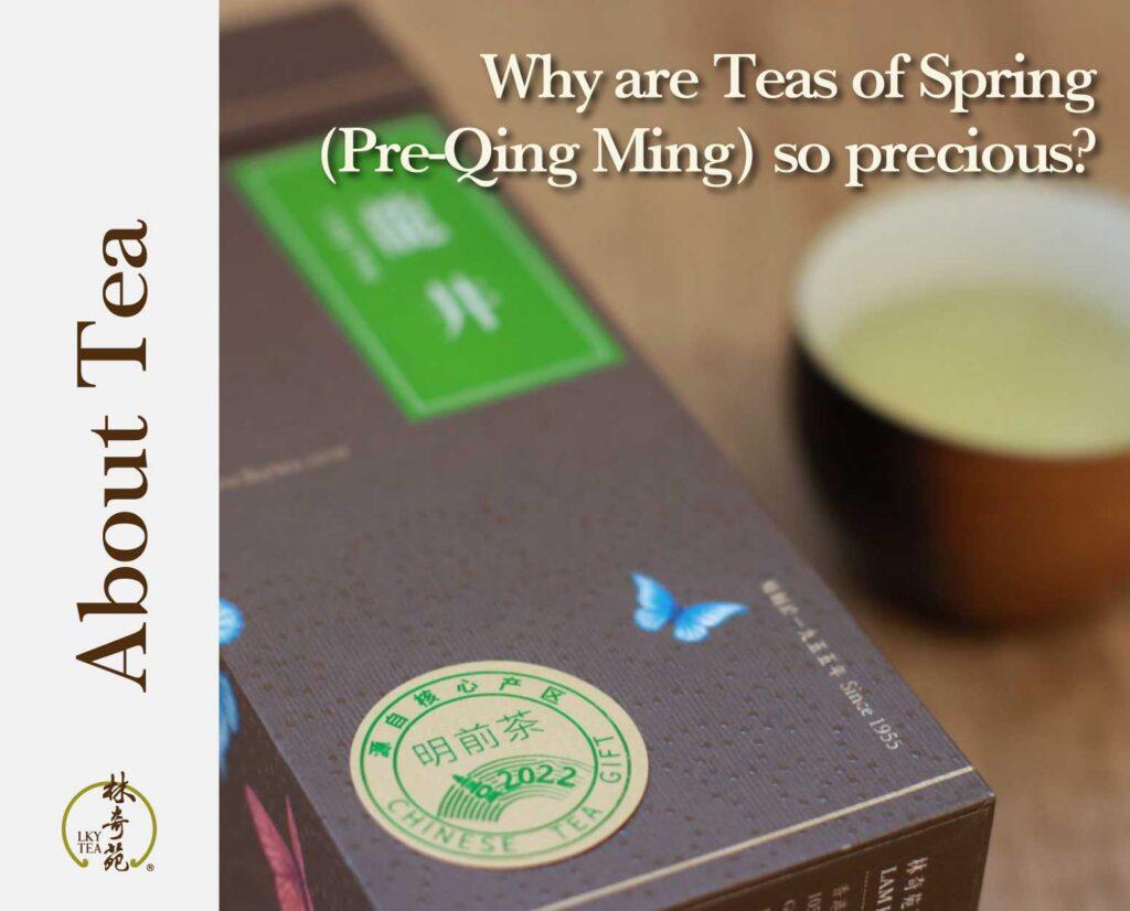 Why-are-Teas-of-Spring-(Pre-Qing-Ming)-so-precious-Lam-Kie-Yuen-Tea