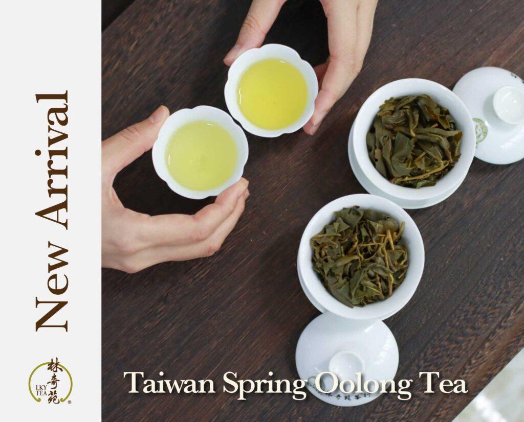 Taiwan Spring Oolong Tea-Lam Kie Yuen Tea