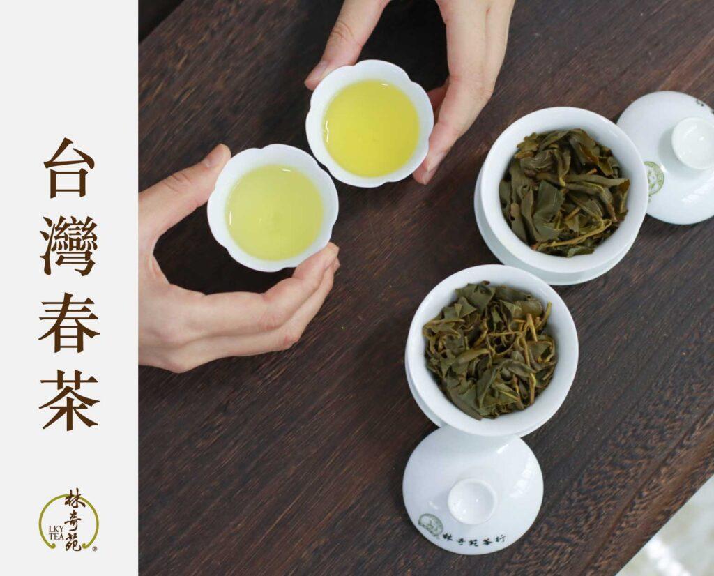 台灣春茶-林奇苑茶行