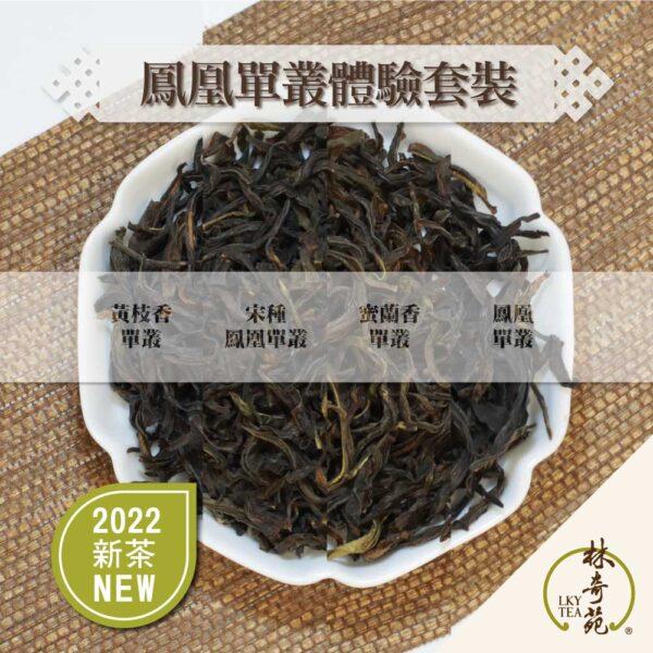 鳳凰單叢體驗套裝-林奇苑茶行