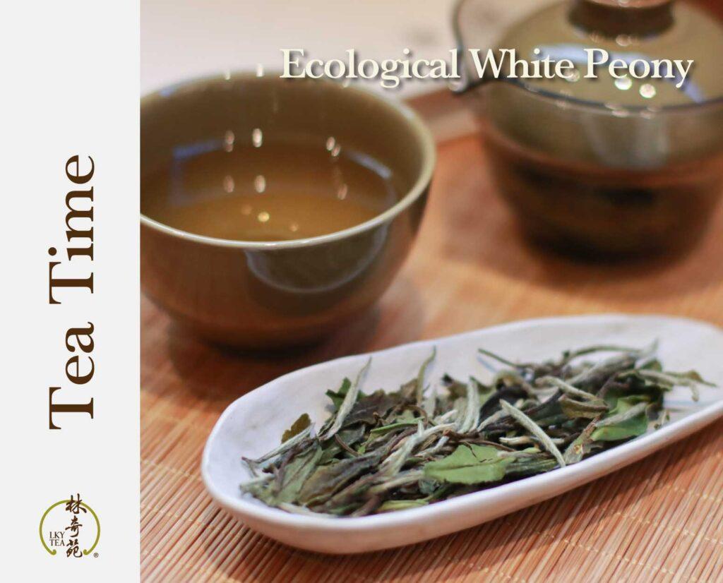 Ecological White Peony-Lam Kie Yuen Tea