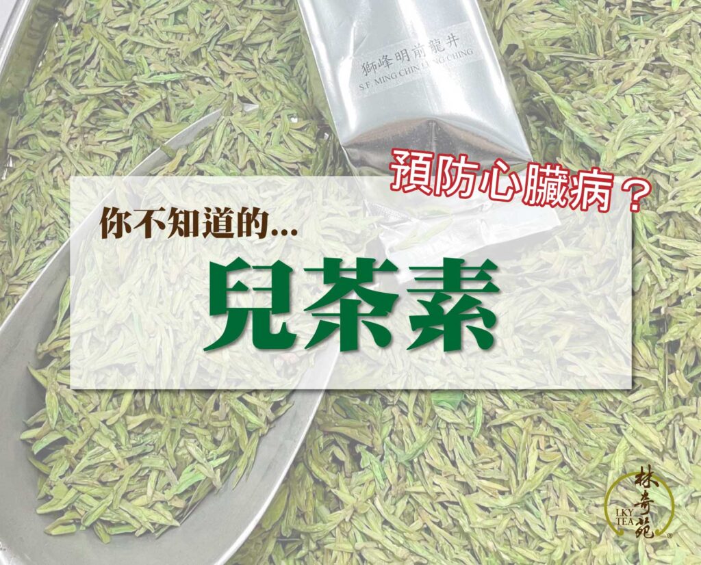 兒茶素是甚麼-林奇苑茶行