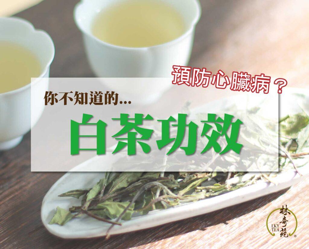 白茶功效-林奇苑茶行