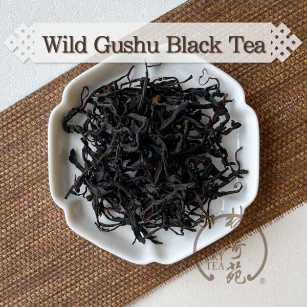 Wild-Gushu-Black-Tea-Lam-Kie-Yuen-Tea