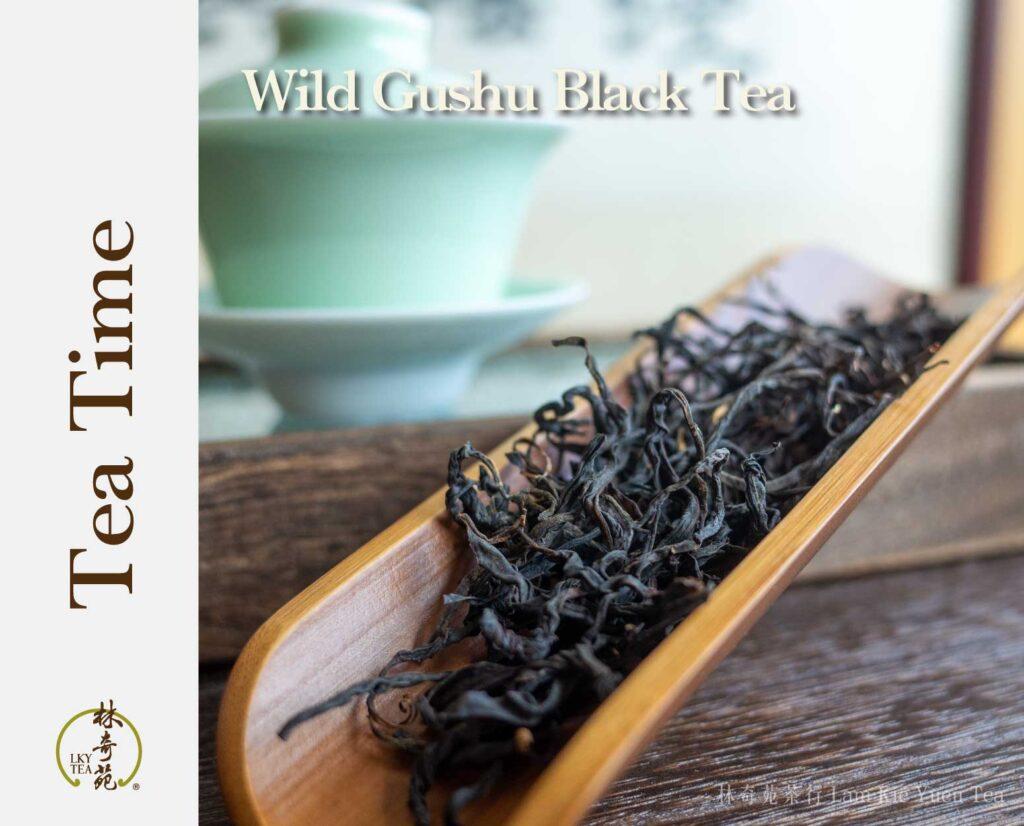 Wild-Gushu-Black-Tea-Lam-Kie-Yuen-Tea