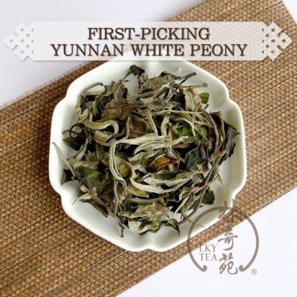 First-picking Yunnan White Peony-Lam Kie Yuen Tea