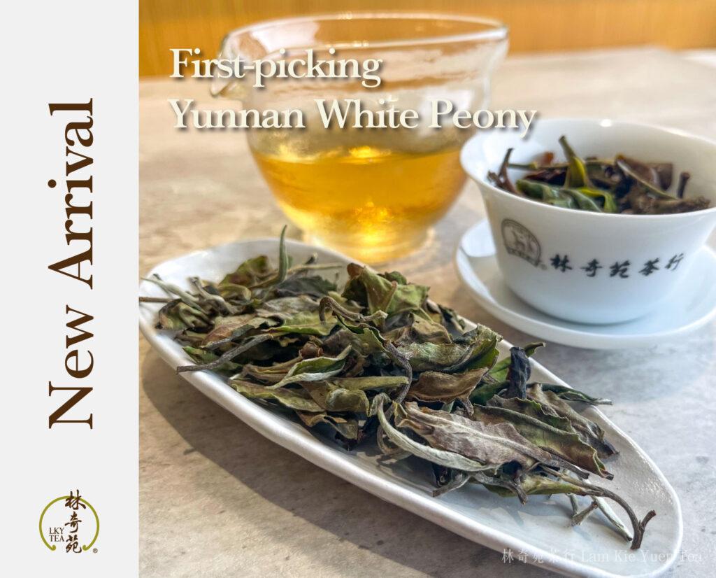 First-picking Yunnan White Peony-Lam Kie Yuen Tea